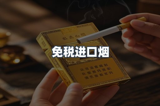 免税进口烟